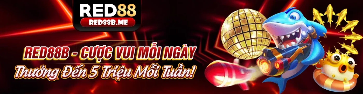 Cách xu66 nhà cái sử dụng dữ liệu cá nhân để cải thiện dịch vụ và bảo mật
